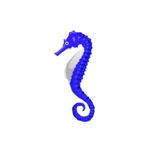 Blue Seahorse